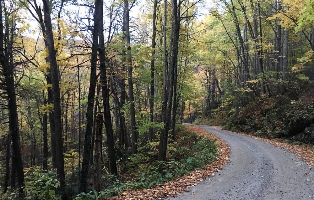 Asheville hike 10.JPG