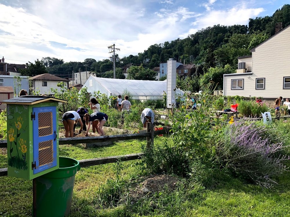 Millvale Community Garden