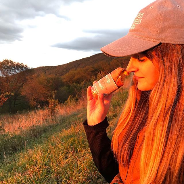 Autumn on the AT is a really divine place to be 🍁❤️ #appalachiantrail #weareappalachia #pepperonirolls